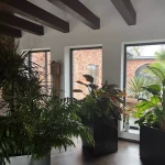 pomoce domowe - zdjęcie ogłoszenia Pomoc Domowa - szukam