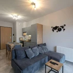 pomoce domowe - zdjęcie ogłoszenia Gosposia - Gdańsk