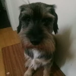 pomoce domowe - zdjęcie profilowe użytkownika Agnieszka O.
