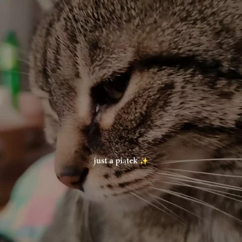 Pomoc domowa: Marta Z.