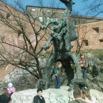 Pomoc domowa: Joanna M.