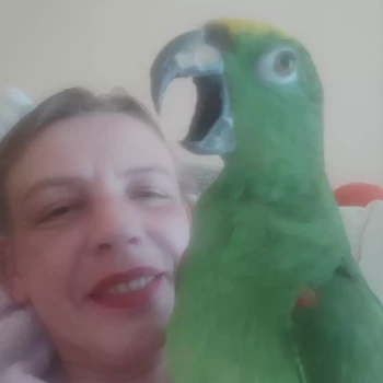 Pomoc domowa: Nataliia T.