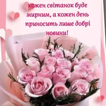 Pomoc domowa: Diana C.