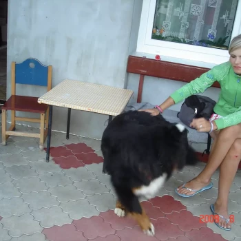 Pomoc domowa: Kamila K.