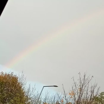 Pomoc domowa: Edyta W.