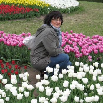 Pomoc domowa: Beata P.