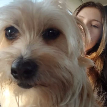 Pomoc domowa: Maja N.