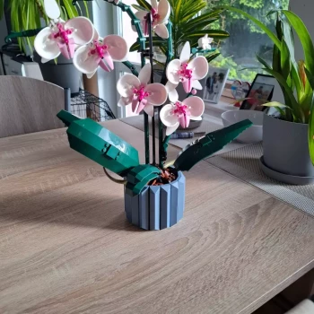 Pomoc domowa: Irena F.