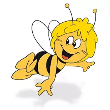 Pomoc domowa: Maia N.