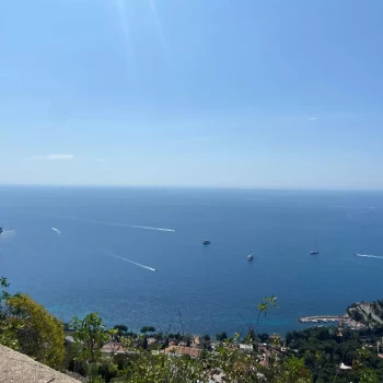 Pomoc domowa: Sabina S.