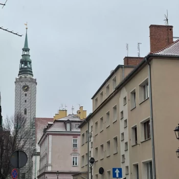 Pomoc domowa: Anna M.