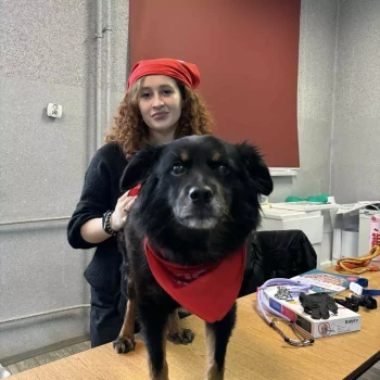 Pomoc domowa: Nikola D.