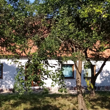 Szukam: Katarzyna