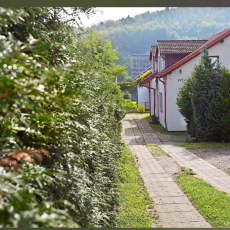 Szukam: Michał M.