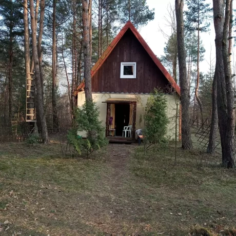 Szukam: Agnieszka S.