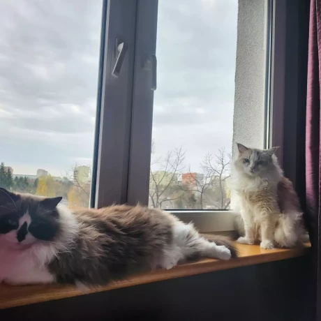 Szukam: Agnieszka Ł.