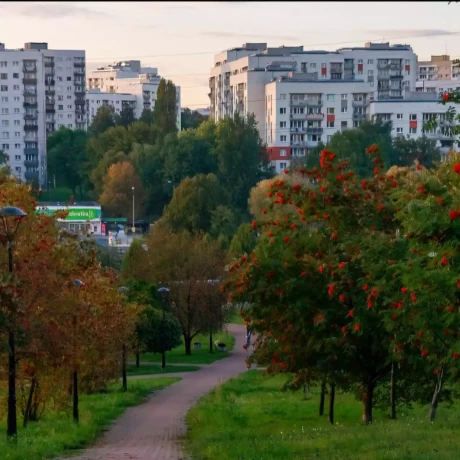 Szukam: 