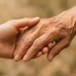 opieka seniora - zdjęcie ogłoszenia Poszukiwany opiekun lub opiekunka