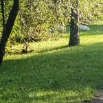 opieka seniora - zdjęcie profilowe użytkownika Justyna H.