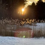 opieka seniora - zdjęcie ogłoszenia Opiekun seniora poszukiwany