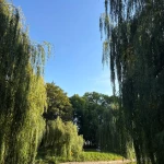 opieka seniora - zdjęcie ogłoszenia Warszawa - opiekun seniora