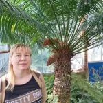 opieka seniora - zdjęcie profilowe użytkownika Oksana H.