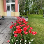 opieka seniora - zdjęcie ogłoszenia Opieka nad starszym panem 