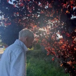 opieka seniora - zdjęcie ogłoszenia Opiekun do osoby z chorobą otępienna. WYMAGANY JĘZYK ANGIELSKI