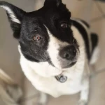 opieka seniora - zdjęcie profilowe użytkownika Anna S.