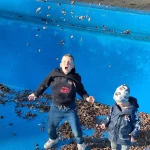 opieka seniora - zdjęcie profilowe użytkownika Iwona W.