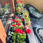 opieka seniora - zdjęcie ogłoszenia Opieka seniora - Kraków, Krowodrza