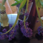 opieka seniora - zdjęcie profilowe użytkownika Karina J.