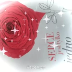 opieka seniora - zdjęcie profilowe użytkownika Teresa J.