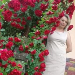 opieka seniora - zdjęcie profilowe użytkownika Nastia K.