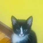 opieka seniora - zdjęcie profilowe użytkownika Bogdana S.