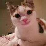 opieka seniora - zdjęcie profilowe użytkownika Joanna T.