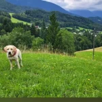 opieka seniora - zdjęcie profilowe użytkownika Basia G.