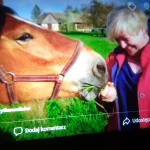 opieka seniora - zdjęcie profilowe użytkownika Dorota P.