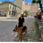 opieka seniora - zdjęcie profilowe użytkownika Maja C.