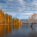 opieka seniora - zdjęcie ogłoszenia Potrzebna pomoc w opiece