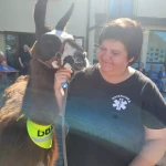 opieka seniora - zdjęcie profilowe użytkownika Anna K.