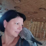 opieka seniora - zdjęcie profilowe użytkownika Violetta K.