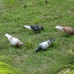 opieka seniora - zdjęcie ogłoszenia Opieka seniora - Goleniów i  bliskie okolice w zachodnipomorskim 