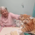 opieka seniora - zdjęcie ogłoszenia Szukam Opiekunki dla Pani z demencją  bieżanów 