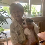 opieka seniora - zdjęcie ogłoszenia Ostrów Wielkopolski - opiekun seniora