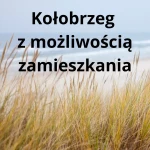 opieka seniora - zdjęcie ogłoszenia Szukam opieki dla seniorki, możliwość zamieszkania