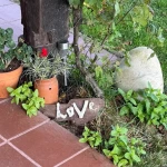 opieka seniora - zdjęcie ogłoszenia Wykwalifikowaną panią do opieki z zamieszkaniem w Katowicach