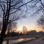 opieka seniora - zdjęcie ogłoszenia Opieka nad seniorką (i małym pieskiem)