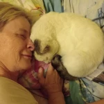opieka seniora - zdjęcie ogłoszenia Szukam opieki dla Mamy z zamieszkaniem
