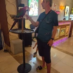 opieka seniora - zdjęcie profilowe użytkownika Adrian K.